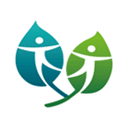 伦理片在线线手机版韩国免费6